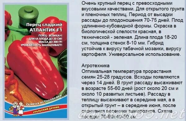 Болгарский перец Блог о Болгарии Варя Давыдова