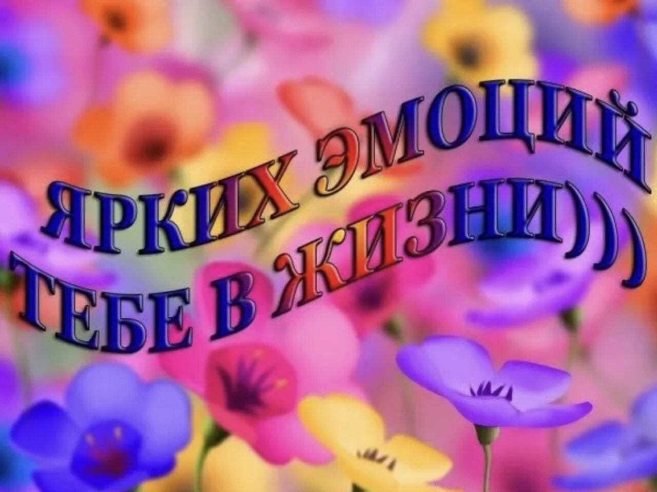 Желаем ярких впечатлений