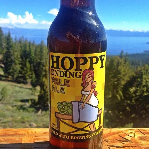 Hoppy Surf пиво. Hoppy apa. Хоппи напиток. IPA Hoppy пиво.