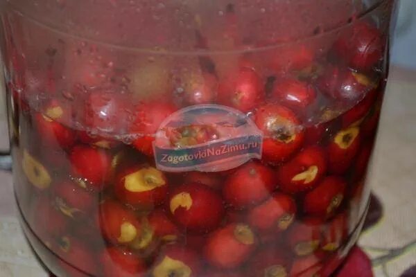 Можно ли компот при сахарном диабете. Компот из боярышника на зиму на 3 литровую. компот из боярышника для диабетиков. компот слива с боярышником. компот из антоновки с шиповником на зиму.