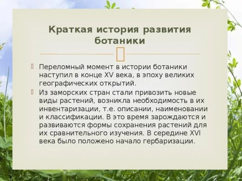 Какие бывают ботанические науки 6 класс. История развития ботаники. Этапы развития ботаники. История ботаники кратко. Презентация история ботаники.