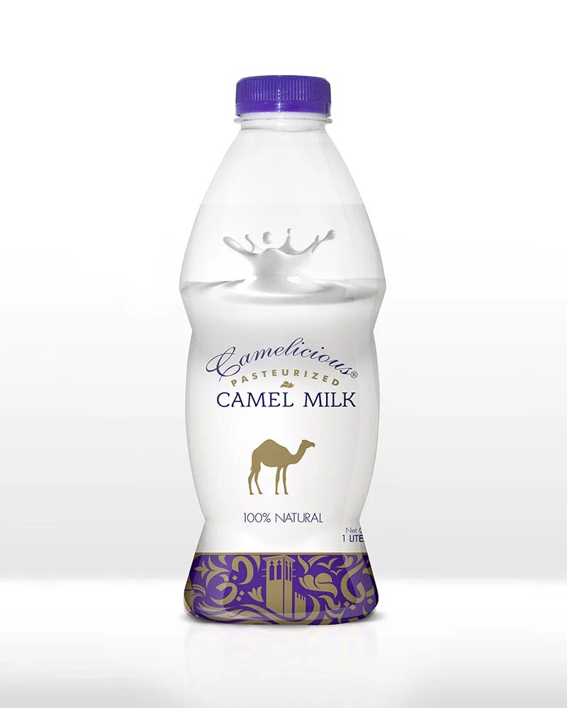 Надпись верблюжье молоко. Верблюжье молоко. Шубат верблюжий. Camel milk. Молоко в дубае верблюжье.