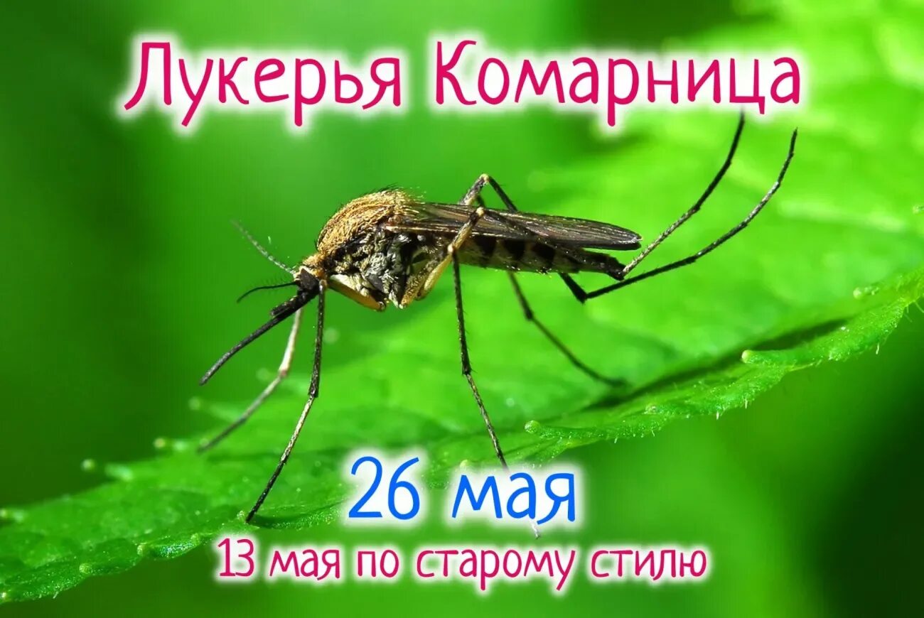 Почему 26 мая. Почему 26 мая