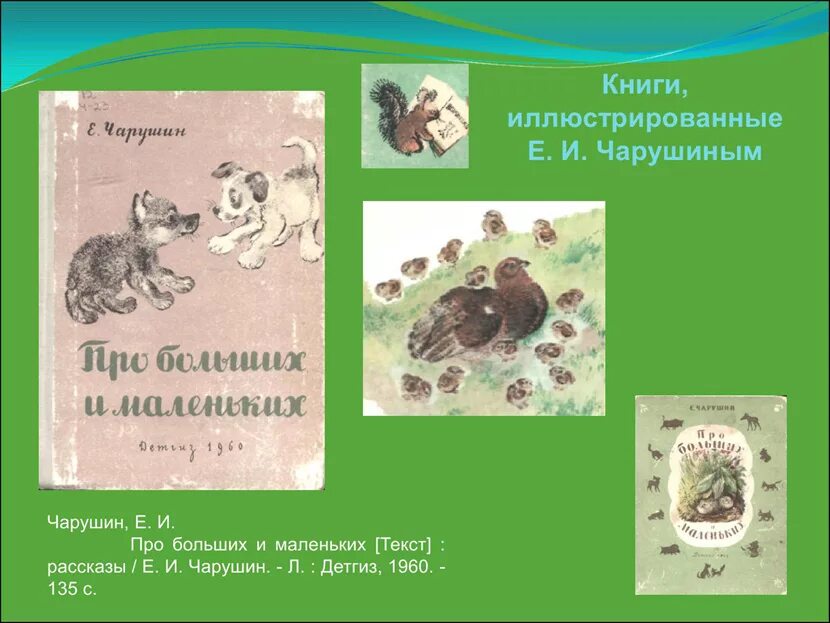 Чарушин рассказы для детей иллюстрации. Книга большие и маленькие Чарушин. Чарушин большие и маленькие иллюстрации. Чарушин произведения для детей дошкольного возраста. Произведение чарушина читать