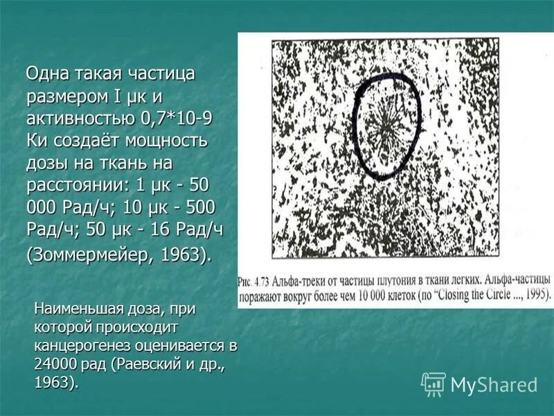 Частица давно. Горячая частица в Чернобыле. Горячие частицы. Горячая частица. Горячие частицы в Чернобыле.