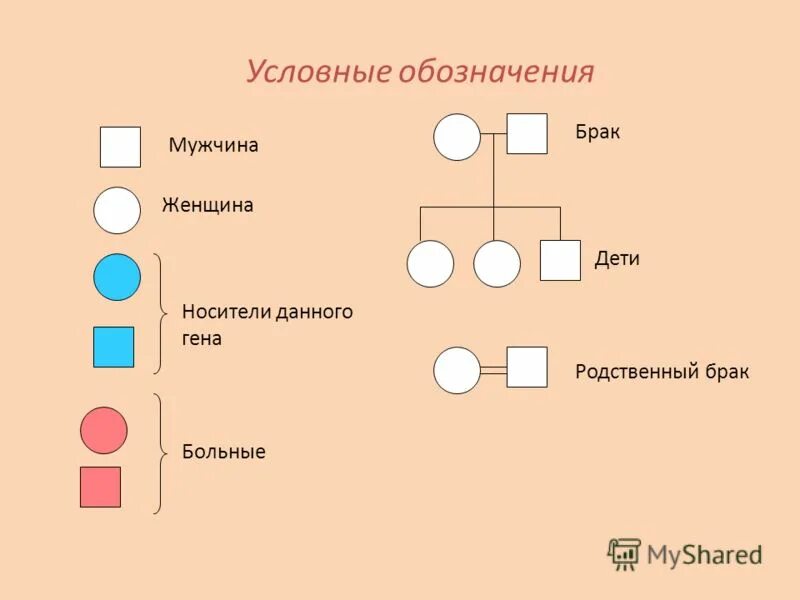 Почему близкородственные браки. Родственные браки. Родственные браки генетика. Близкородственные браки. Родословные с близкородственным браком.