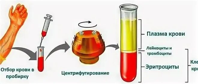 Гематокрит превышение