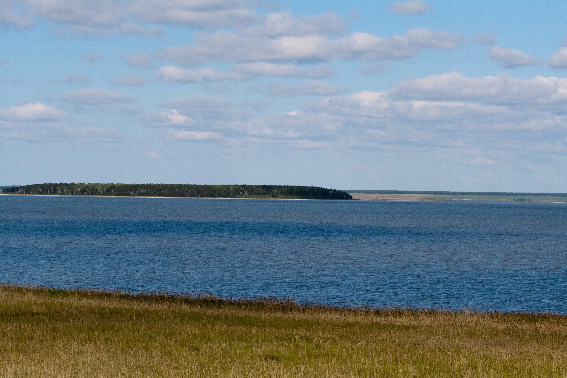 Курган озеро медвежье. Озеро Медвежье Курганская. Курганская обл Медвежье озеро. Озеро Медвежье Курганская область Петуховский район. Солёное озеро в Курганской области Медвежье.