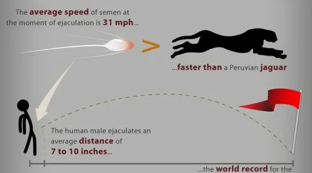 Golden erect. The world s best ejaculation contest. The world s best ejaculation contest. Thalamic ‘gate’ sensory inputs. Verb лого.