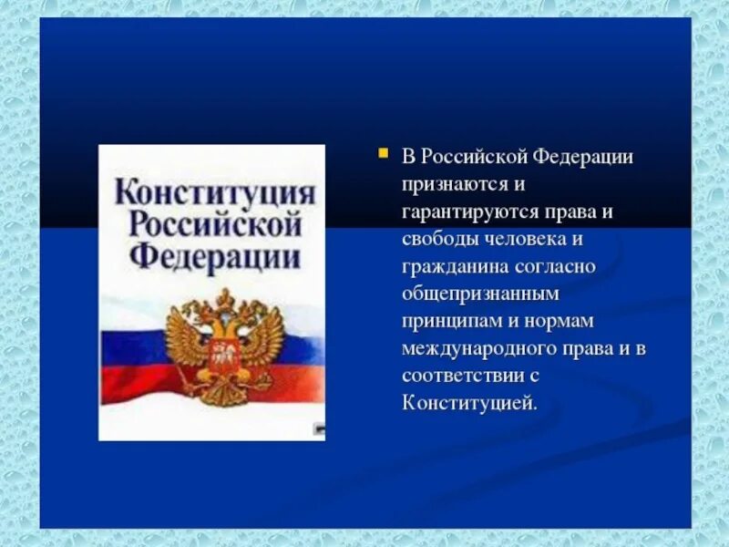 Защита прав человека в РФ. Роль гражданина конституция рф