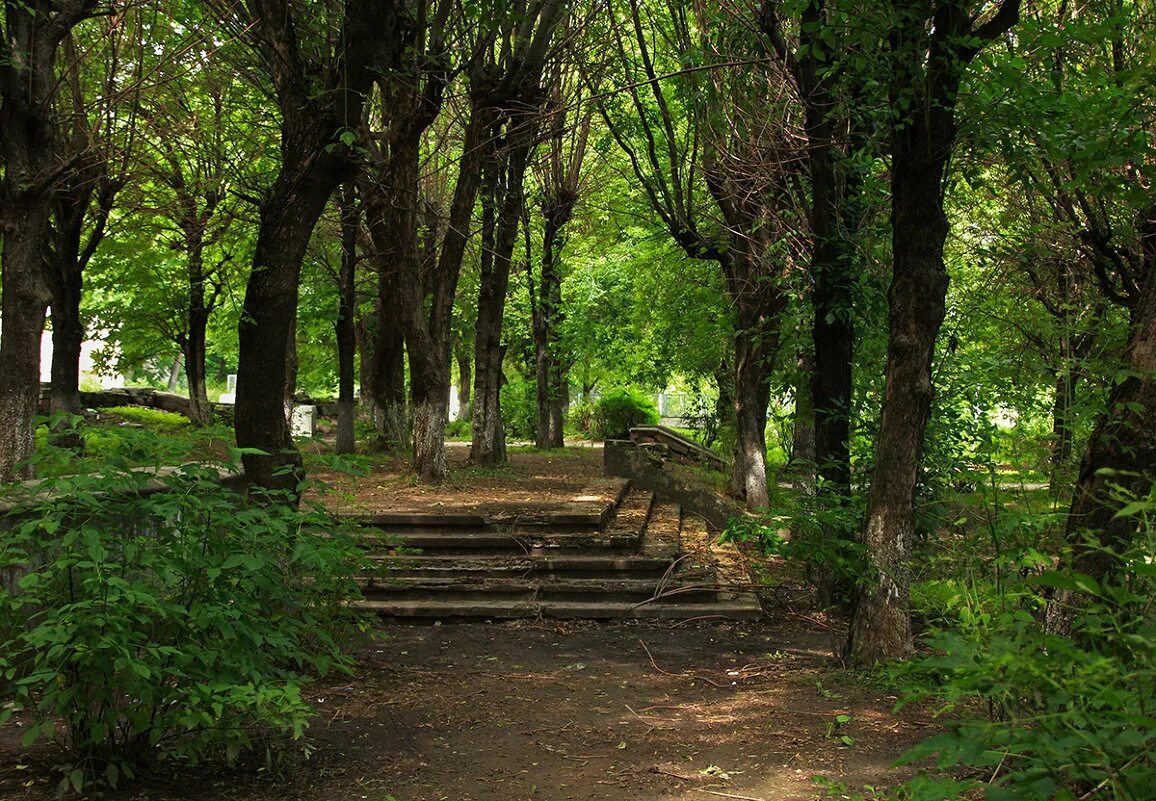 Garden foresta ландшафт. Густой парк. Сквер парк красноярск. Царицынский пейзажный парк и пруды в царицыно. Лесопарки москвы.