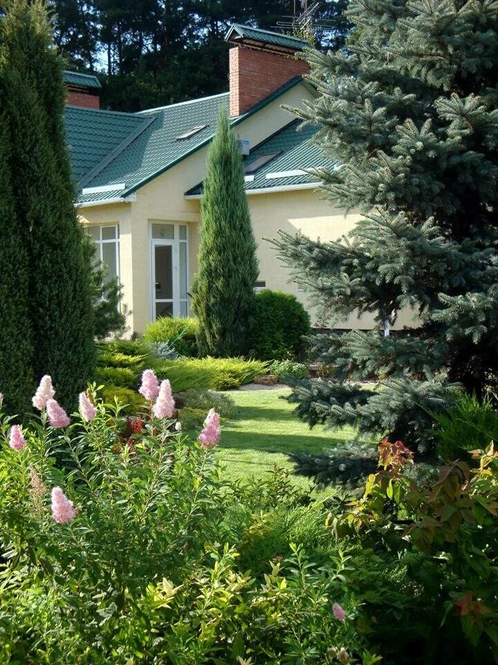 Krivitsky studio ландшафт. сады аркадия гарден. иван бугаев ландшафтный архитектор. ландшафтный дизайн екатеринбург. студия сад.