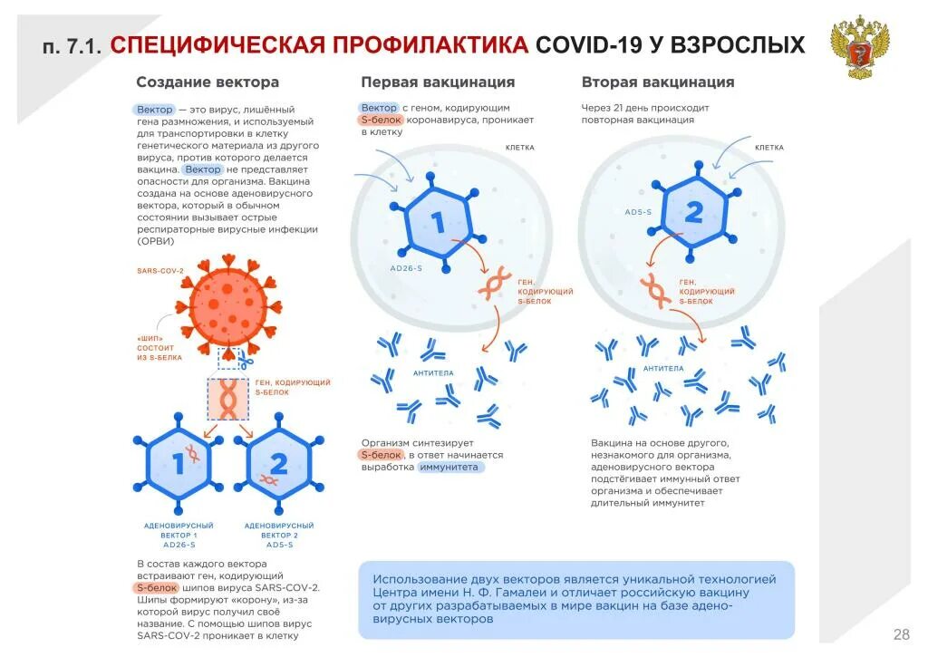 18 версия ковида. Векторные вакцины. Как работает вакцина. Безопасность вакцин. Исследования вакцин.