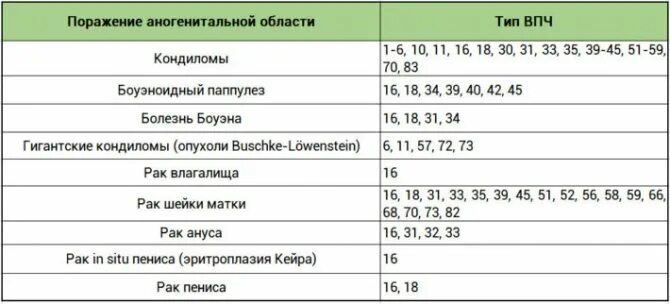 Вирус папилломы человека 16 и 18 типа. Папилломы 16 18 вирус папилломы человека. Вирус папилломы человека (HPV) Тип 16 что это.