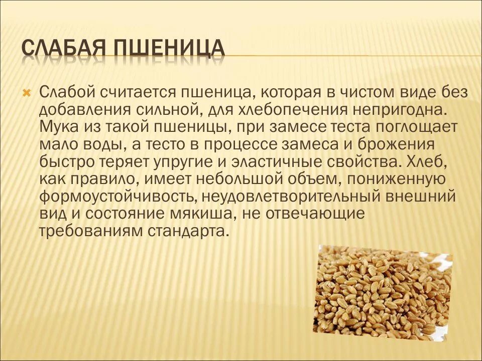 Сильная пшеница это. Слабая клейковина. Слабая пшеница это. Клейковина зерна пшеницы.