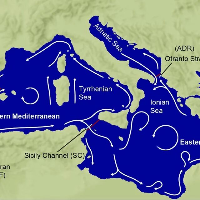 Карта черных вод. Морские течения Средиземного моря. Карта течений Средиземного моря. Течения в Средиземном море на карте. Течение в Средиземном море схема.