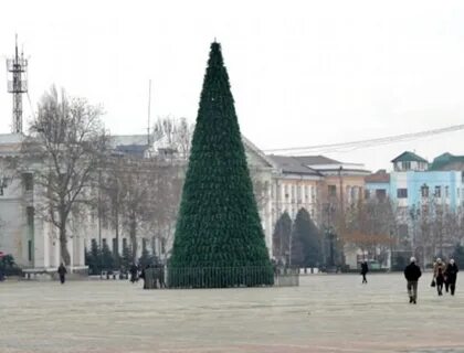 Город ели
