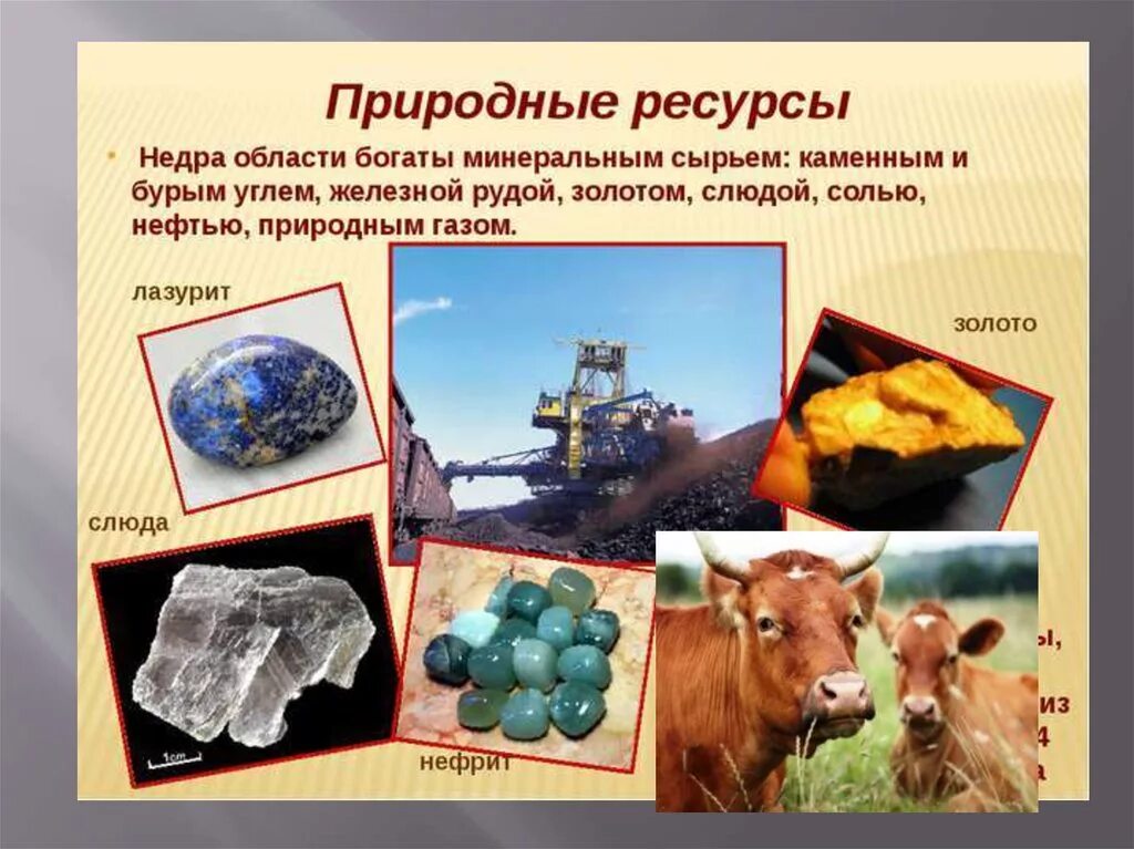 Виды природных ресурсов которыми богата россия. Природные ресурсы. Природные полезные ископаемые. Ресурсы природы. Природные ресурсы картинки.