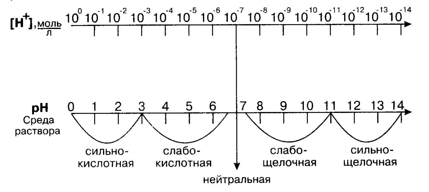 Водородный показатель среды растворов. Водородный показатель (PH) химия. Шкала РН среды водородный показатель. Шкала PH водных растворов электролитов. Среда раствора РН.