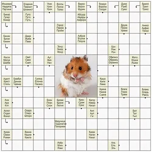 Шифр хомяк на 2
