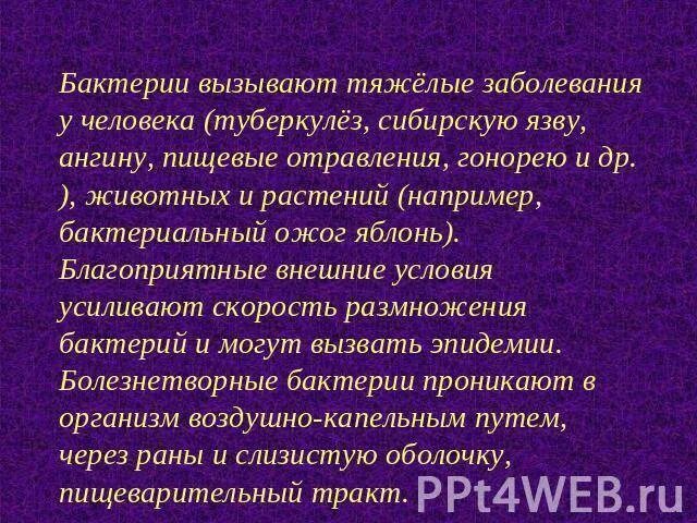 5 заболеваний вызванных бактериями. Бактериальные заболевания доклад. Сообщение на тему бактериальные заболевания. Сообщение о болезнях вызываемых бактериями 5 класс. Профилактика бактериальных болезней.