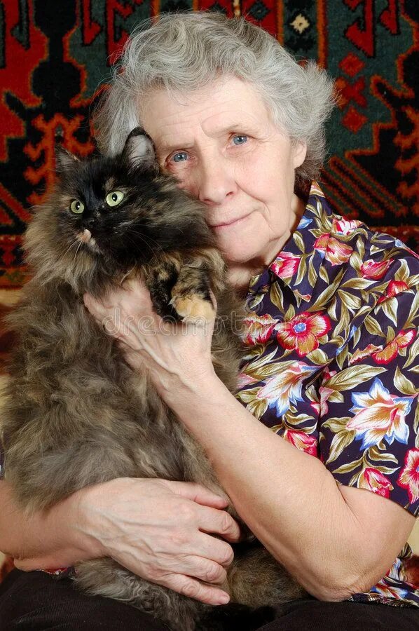 Grandmothers cat. Grandmothers cat. Японская старушка. Бабушка мисао и кот фукумару. Пенсионеры с кошкой.