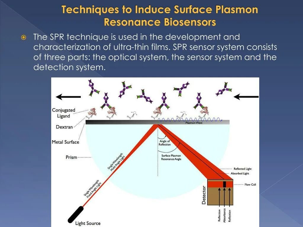 Поверхностный плазмонный резонанс. Surface Plasmon Resonance. Поверхностный плазмон поляритон. Плазмон человека.