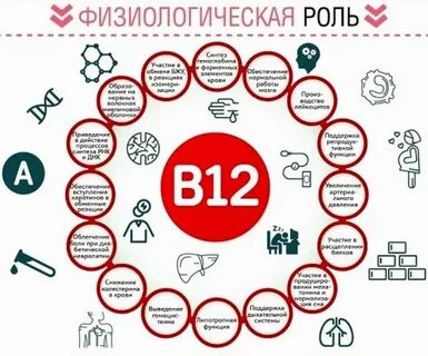 Роль витамина б12