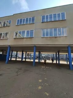 Номер телефона 59 школы