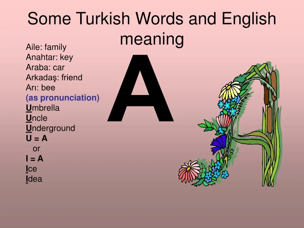 Слово same. Turkish Words. Words in Turkish. Turkic Words. Турецкий в ворд.