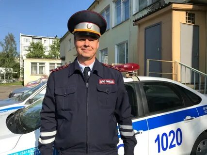 Гаи в александрове