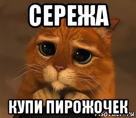 Кот сережа