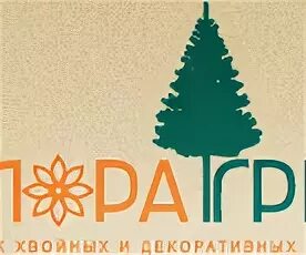 Лотос магазин. Питомник лотос волгоград каталог. Питомник лотос. Лотос волгоград питомник. Питомник растений солнечный волгоградская.
