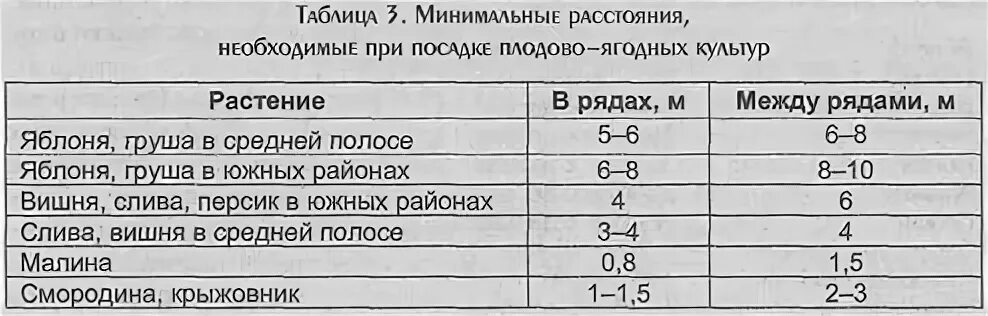 На каком расстоянии сажать сад. Посадка плодовых деревьев расстояние между деревьями. Расстояние между деревьями при посадке плодовых деревьев на участке. На каком расстоянии садить плодовые деревья. Расстояние между плодовыми деревьями при посадке.