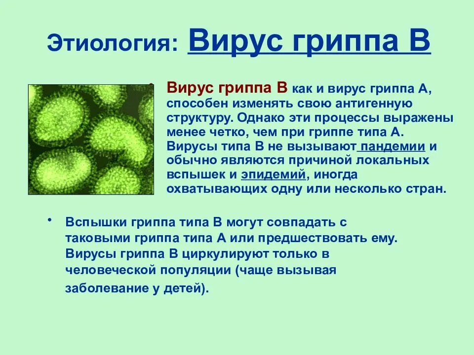 Что означает грипп а. Вирус гриппа. вирус гриппа б. типы вируса гриппа. вирус гриппа типа б.