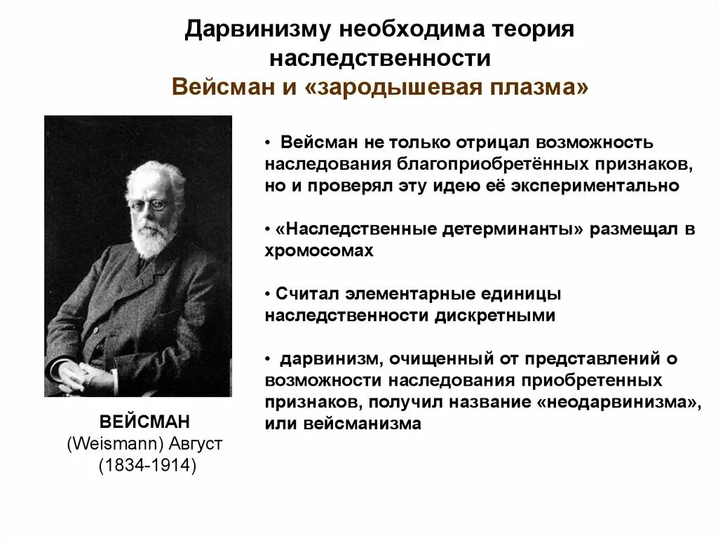 Учение о наследственных. Теория зародышевой плазмы Вейсмана. Вейсман неодарвинизм. Вейсман вклад в теорию эволюции. Теория дарвинизма.