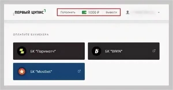 1цупис вход в личный кабинет. ЦУПИС Скриншот. Кошелек ЦУПИС. Баланс ЦУПИС. ЦУПИС личный.