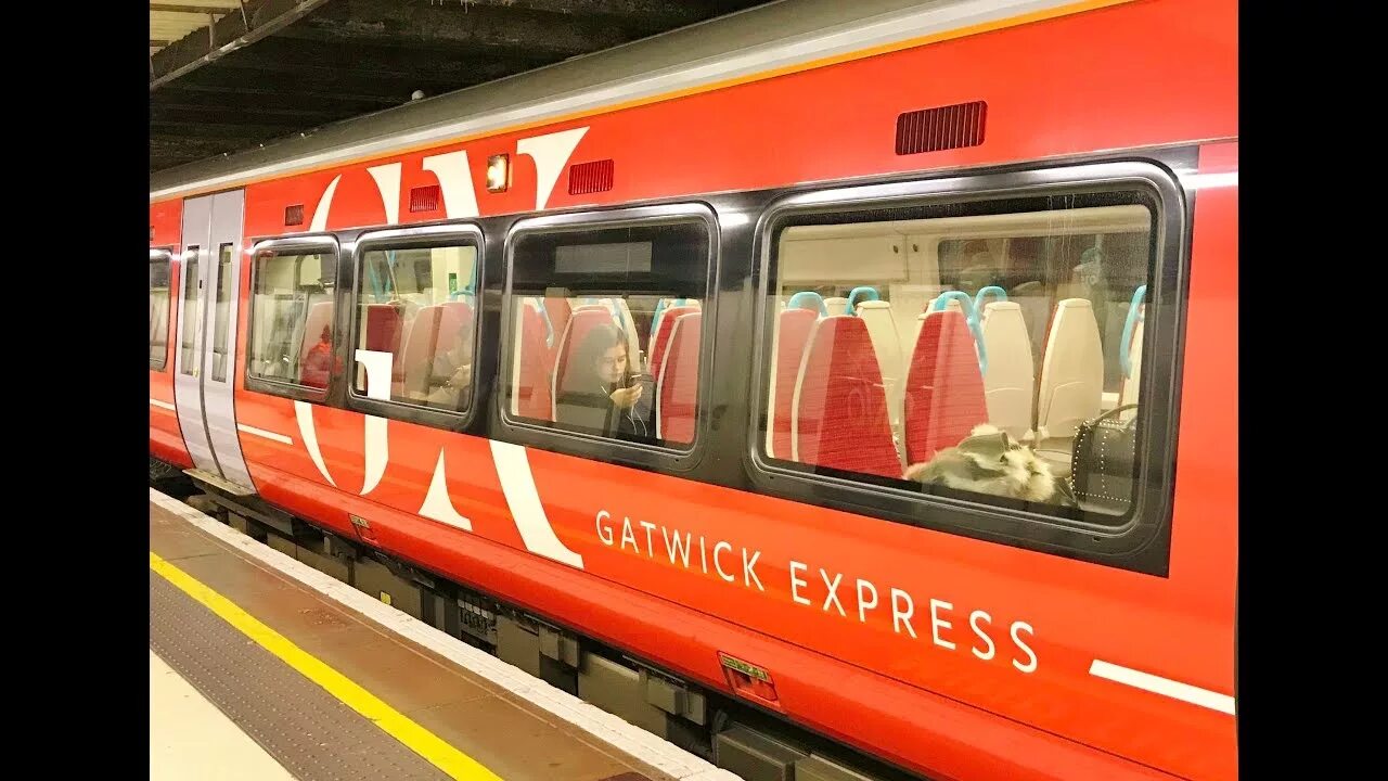 Hear express. Слуховой аппарат «рио д-244м». Магический экспресс поезд. Слуховой аппарат. Hear express.