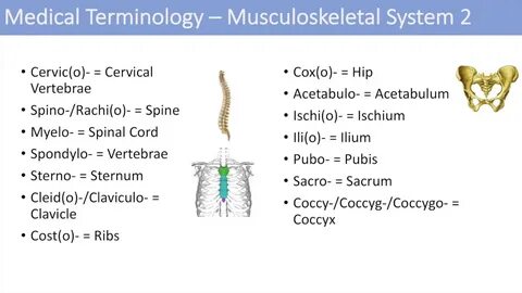 System terms