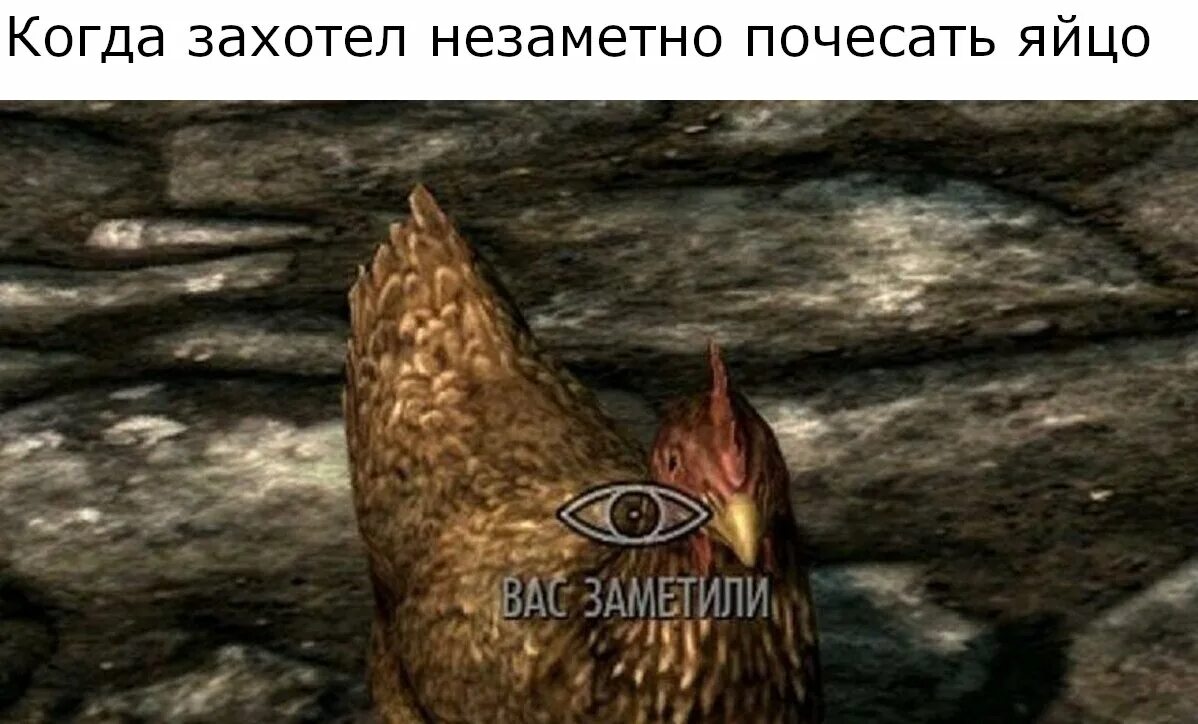 Курицы скайрима. Моды скайрим курица. Моды скайрим курица. Курица скайрим мем. Skyrim chicken.