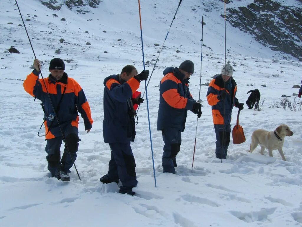 Порядок проведения спасательных работ. Поисково-спасательная служба мчс россии. Проведение поисково спасательных работ. Мчс россии служба спасения. Поисково-спасательные подразделения гражданской обороны.