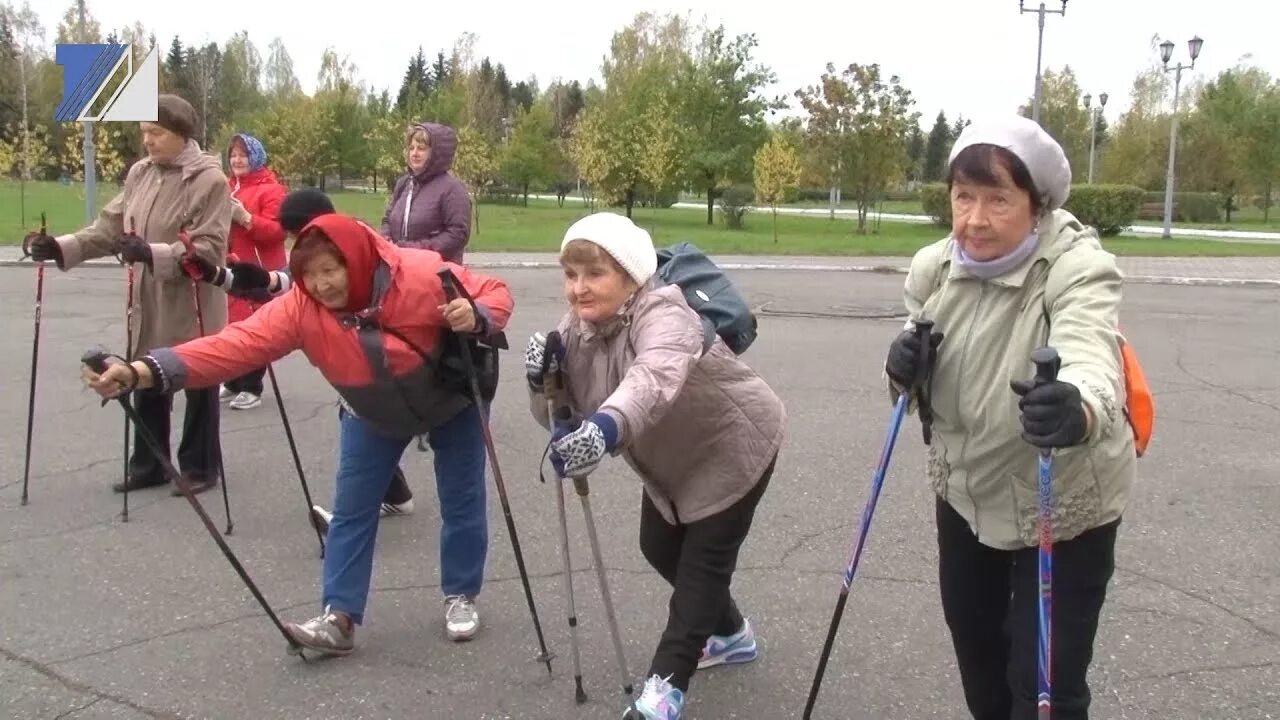 Палки для скандинавской ходьбы marko. Скандинавские палки nordic step. Скандинавские палки видео. Скандинавские палки nordic step. Палки для скандинавской ходьбы.