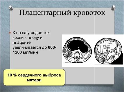Плацентарного кровотока