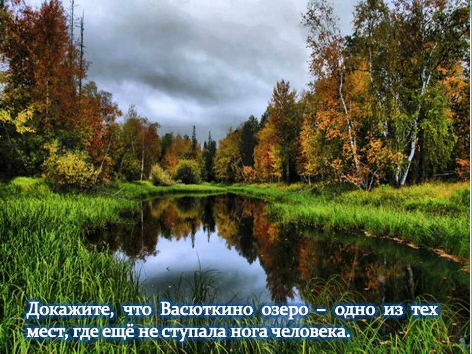 Васюткино озеро реальное озеро. Васюткино озеро. Васюткино озеро фото в реальной жизни. Васюткино озеро в реальной жизни. Васюткино озеро иллюстрации в реальной жизни.