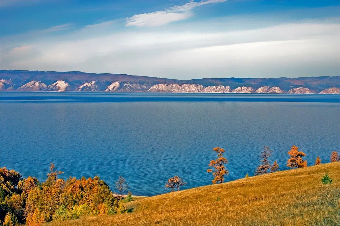 Ли берегах