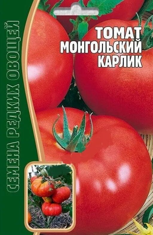 Купить семена томата монгольский. Семена томат Монгол карлик. Томат монгольский карлик семена. Томат стелющийся карлик.