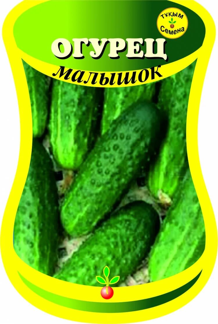 Малышок огурцы фото