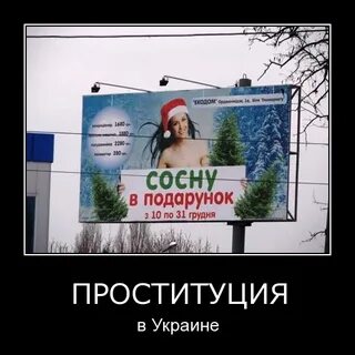 Ты погубила мою сосну