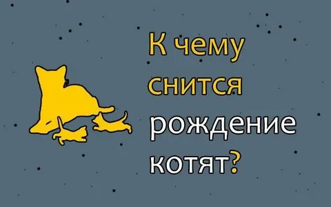 Сонник толкование снов котята
