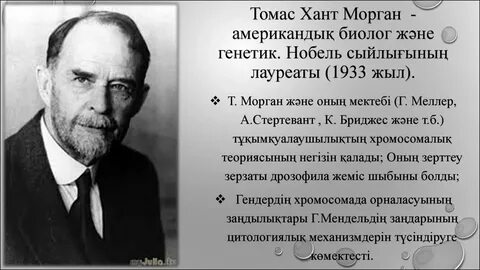 Факты из видеоролика генетика